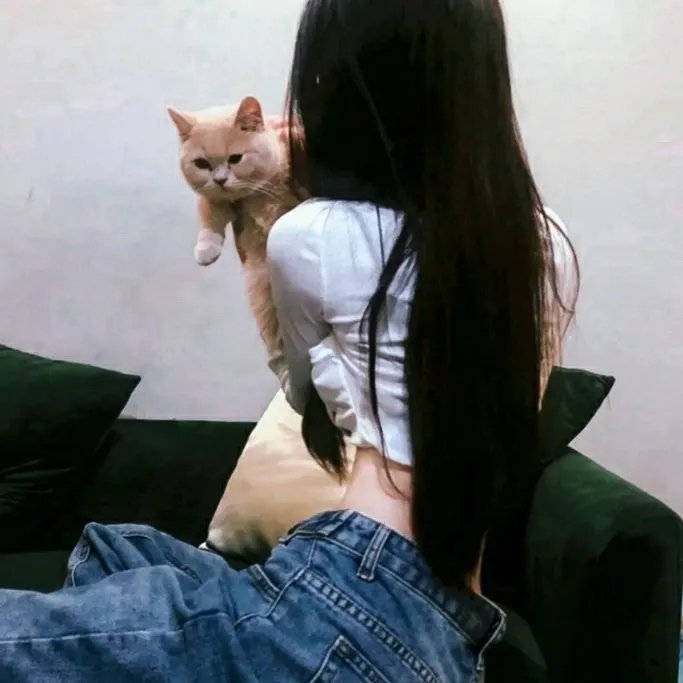 角落里的阳光 在线观看
