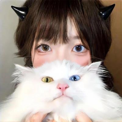 篮球梦 在线观看