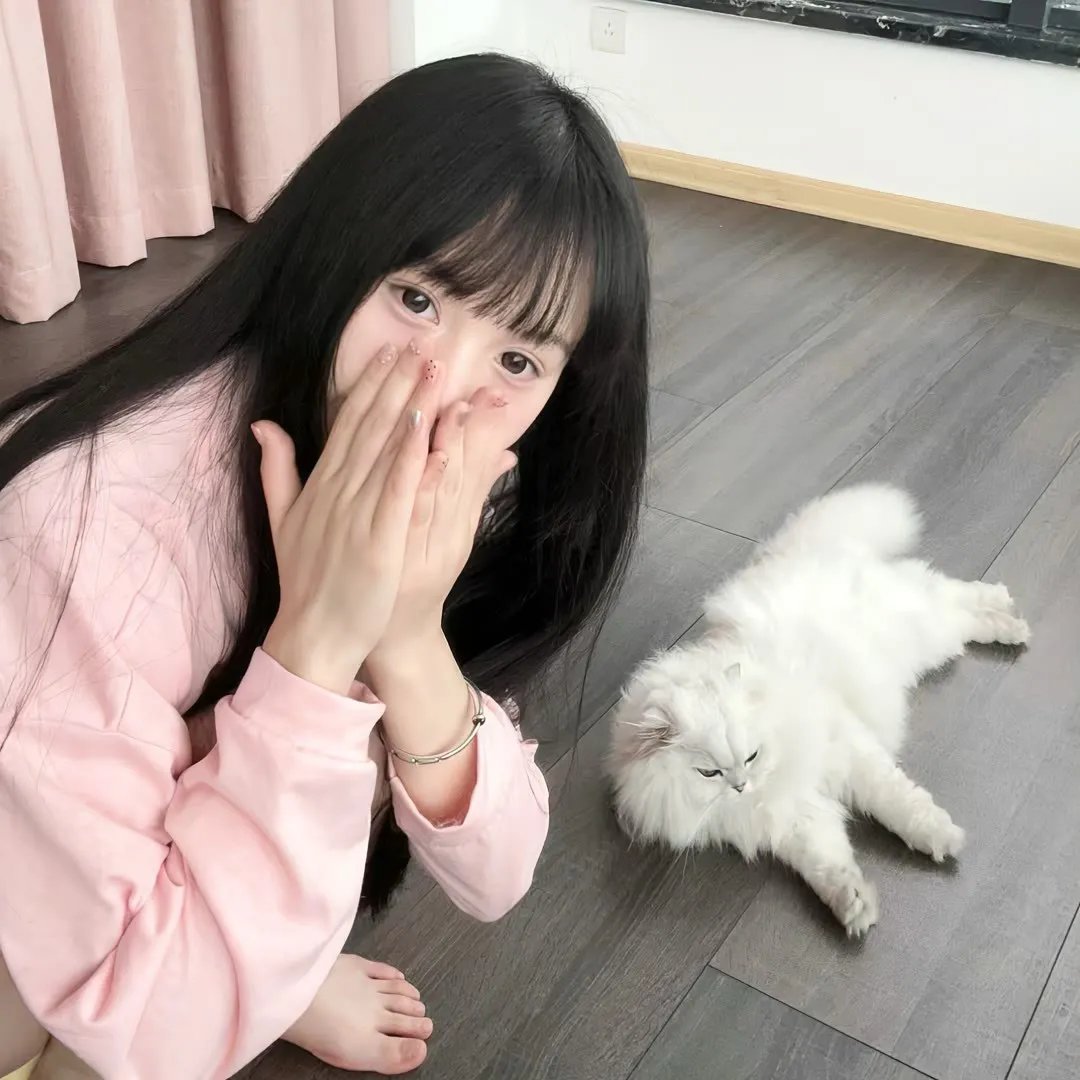 森林之境 在线观看